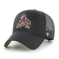 NHL Arizona Coyotes Branson ’47 MVP