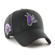 NHL Arizona Coyotes Sure Shot Snapback ’47 MVP